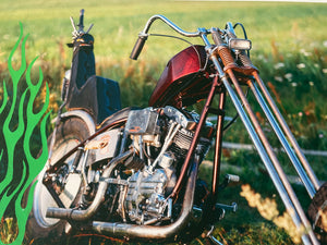 BWC007-F - Early Shovelhead